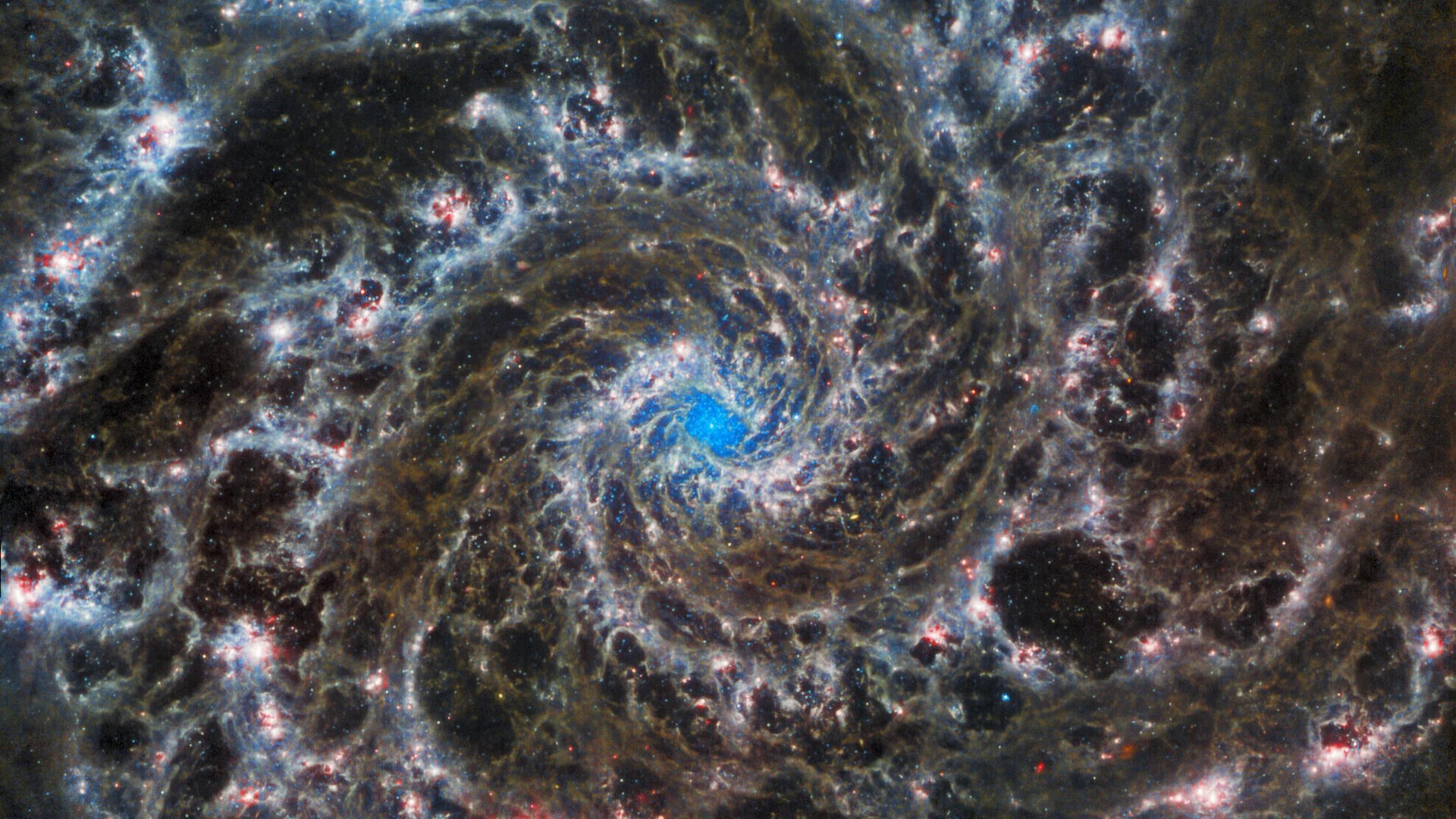 Credit image: ESA/Webb, NASA & CSA, J. Lee and the PHANGS-JWST Team