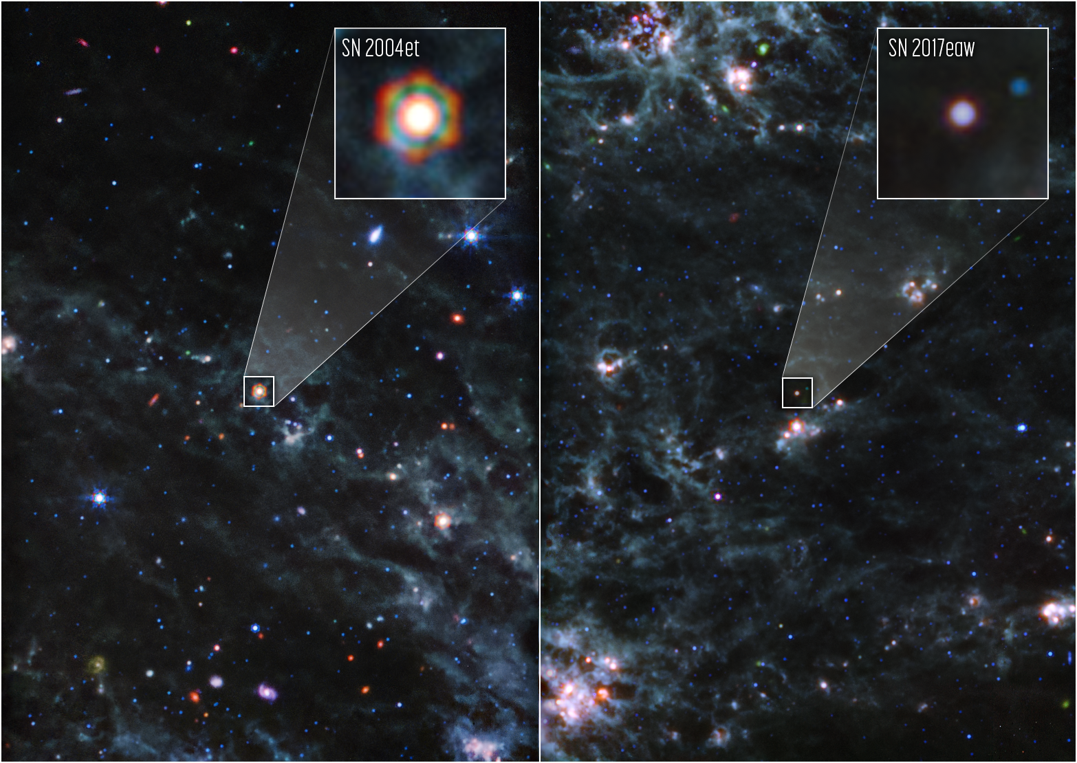 Credit image: NASA, ESA, CSA, Ori Fox (STScI), Melissa Shahbandeh (STScI), Alyssa Pagan (STScI) - Images from NASA’s James Webb Space Telescope reveal large amounts of dust within Supernova 2004et and Supernova 2017eaw. These supernovae are located in spiral galaxy NGC 6946, 22 million light-years away from Earth. The hexagonal shape of SN 2004et in Webb’s image is an artifact of the telescope’s mirror and struts — when the bright light of a point source is observed, the light interacts with the sharp edges of the telescope, creating diffraction spikes. In these images, blue, green, and red were assigned to Webb’s MIRI data at 10; 11.3, 12.8, and 15.0; and 18 and 21 microns (F1000W; F1130, F1280W, and F1500; and F1800W and F2100W, respectively).