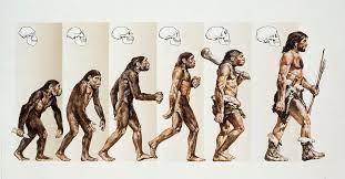 EVOLUTION