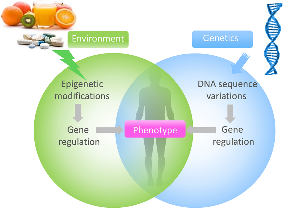 EPIGENETICS